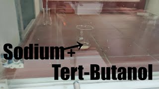 Sodium reacts with TertButanol  tertButyl alcohol  2Methyl2propanol [upl. by Enialed]