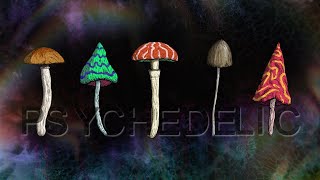 Psychedelic Visuals on Deep Relaxing Music 🍄 Mushroom Trippy Videos 4K [upl. by Llertniuq]