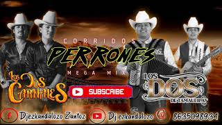 Mix de Corridos Los Dos Carnales y Los Dos de Tamaulipas🔥🔥🔥 Dj ezkandalozo [upl. by Attelahs222]