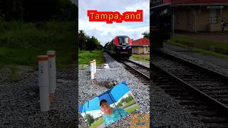 Amtrak Palatka Florida usatrains railfanusa [upl. by Amby630]