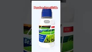 Pexalon Insecticide । धान की फसल में भूरा माहू के लिए डाला पेक्सलॉन।🌾😎 [upl. by Imoan497]