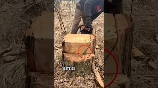 Unbelievable Lumberjack Expertise😳lisoryb24 [upl. by Sup774]