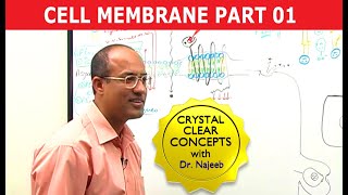 Cell Membrane Part 12 [upl. by Darci]