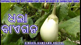 Dhala baigana  santanu sahu old superhit sambalpuri song [upl. by Olonam]