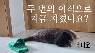 면접 8번 보고 입사한 로펌 퇴사한 법률사무원  올해 상반기 이직만 2번  근황  퇴사한 이유 [upl. by Gracia847]