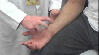 Tinels Test of the Ulnar Tunnel [upl. by Naenaj]