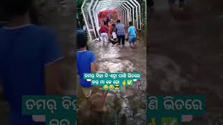 Tamar biha bi enta pani bhitre kar 😍🌿\ sambalpuri status video  sambalpuri song shortvideo dance [upl. by Missie]