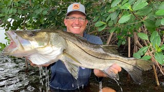 The MOST SURPRISING Catch Clean Cook Pan Seared Snook with Garlic Chili Aioli [upl. by Heidt]