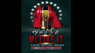 SPICE MI LIKE IT RAW MR LOVERMAN RIDDIM REFIX [upl. by Gwenny435]