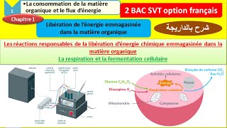 Nutrition et organisation des végétaux chlorophylliens 5e [upl. by Ejrog]