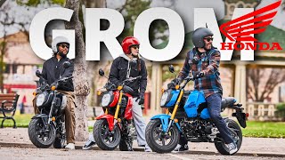 NEW 2025 Honda Grom Unveiled [upl. by Kiley]