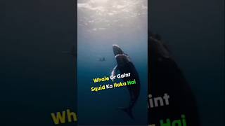 How deep the ocean is oceandepth ocean oceanfloor sealife سمندر information ytshorts [upl. by Ranzini]