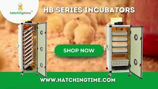 Upgrade to Pro Commercial Incubators  HB Series [upl. by Uticas247]