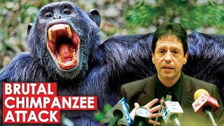 Brutal Chimpanzee Attack and The Cop That Intervened  The Story of Travis [upl. by Vally]