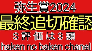 弥生賞ディープ記念2024 最終追切確認 S評価は3頭 [upl. by Namzzaj]