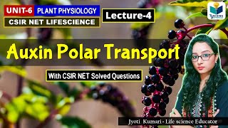 TRANSPORT OF AUXIN  PHYTOHORMONE PART4CSIR NET PLANT BIOLOGY [upl. by Newfeld]