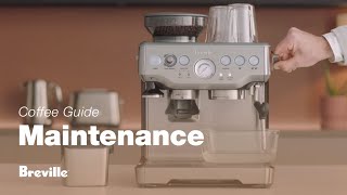 The Barista Express®  Our tutorial on how to descale your espresso machine  Breville USA [upl. by Ennaear]