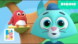 Beadies — Birdie — Season 1 Episode 19  New cartoons in english [upl. by Loralie]