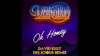 DELEGATION  Oh Honey David Kust Delicious Remix [upl. by Ellatsyrc]