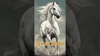 SHADOWFAX LORD OF ALL HORSES  LOTR [upl. by Zel647]