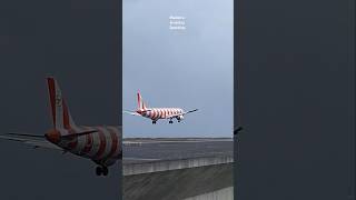 A321 Condor❤️ Red Passion Livery❤️ landing at Madeira Airport aviation condor landing airport [upl. by Kamerman612]