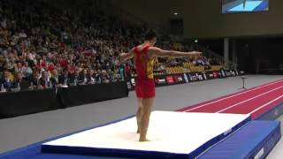 2015 Tumbling World Championships Male [upl. by Rosenquist317]