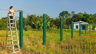 Build Concrete Electric Poles To Replace Old Bamboo Poles  The Life in the Village Ly Hieu Hieu [upl. by Elauqsap]