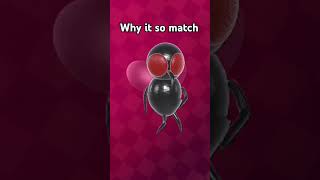 Why is match [upl. by Anele]