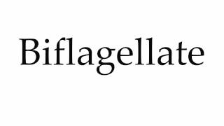 How to Pronounce Biflagellate [upl. by Rech148]