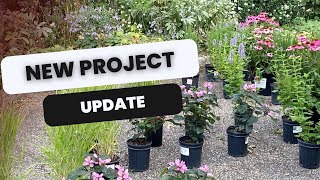 🌸 Patio  Walkway  Meadow Project Update 🌸 [upl. by Mafala]