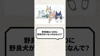 Q：野良猫はいるのに野良犬がいないのはなんで？ 猫 犬 ねこ [upl. by Jocko]