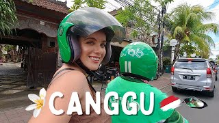 THE ULTIMATE GUIDE TO CANGGU BALI  Where To Stay What To Do  What The Hype Is All About [upl. by Lonyer920]