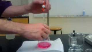 Methyl Red Titration [upl. by Kristin322]