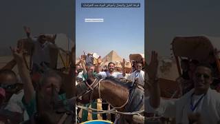 فرحة الخيل والجمال باحواض المياه عند الاهرامات 🤍 ٦٠شومعالدكتورحاتمستين [upl. by Leirej772]