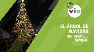 El primer árbol de navidad Historias de Navidad 🎄  Tele VID [upl. by Caz]