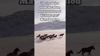 İLERİYE DOĞRU ATILAN HER ADIM HAYATINIZDA YENİ BİR KAPI AÇAR Maya Angelou [upl. by Eiramaliehs]