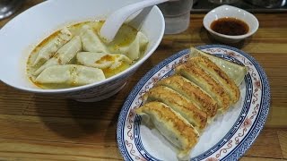 UTSUNOMIYA GYOZA DUMPLING CITY [upl. by Garlan]