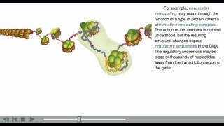 DNA Packaging Animation  chromatin histone and nucleosome modifications [upl. by Dredi]