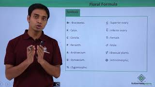 Class 11th – Floral Formula – Introduction  Morphology of Flowering Plants  Tutorials Point [upl. by Magel177]