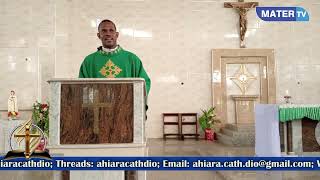 Homily for 32nd Sunday in Ordinary Time Year B by Rev Fr Anthony Onuoha November 10 2024 [upl. by Alarise]