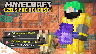 HUGE MACE NERF Update Done New Chambers  Minecraft 1205 Pre Release 1 [upl. by Carney37]