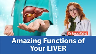 Discover The Amazing Functions of the Liver ❤️ Supplements to Improve your Liver  DR SANDRA CABOT [upl. by Maximilien]