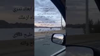 اضيع في الطوشه اكسبلور لايك السعوديةالرياضالكويتقطرعمانالاردنالامارات automobile ترند [upl. by Ynnij564]