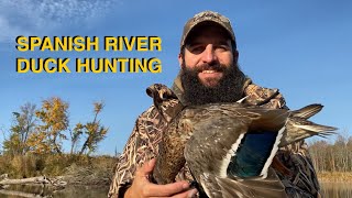 Spanish River Ontario Duck Hunting [upl. by Goulette526]