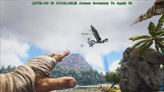 An Ichthyornis Stole my Dodo  Ark  Survival Evolved no commentary [upl. by Eemaj]