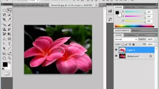 Photoshop CS5 Tutorial Copying amp Pasting Pixel Selections Adobe Training Lesson 711 [upl. by Helali61]