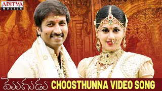 Choosthunna Song  Mogudu Video Songs  Gopichand Taapsee [upl. by Hsac]