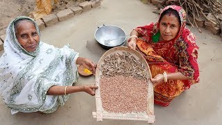 Arhar Kolai Recipe  Organic and Fresh Daal Cooking by Grandmother [upl. by Misab930]