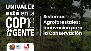 Univalle está en la COP16 de la gente Sistemas Agroforestales Innovación para la Conservación [upl. by Anyk]