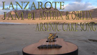 Kameleon  Arsenic Cake Song  Cover PL [upl. by Nevanod]